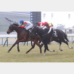 休み明けの春日特別を快勝