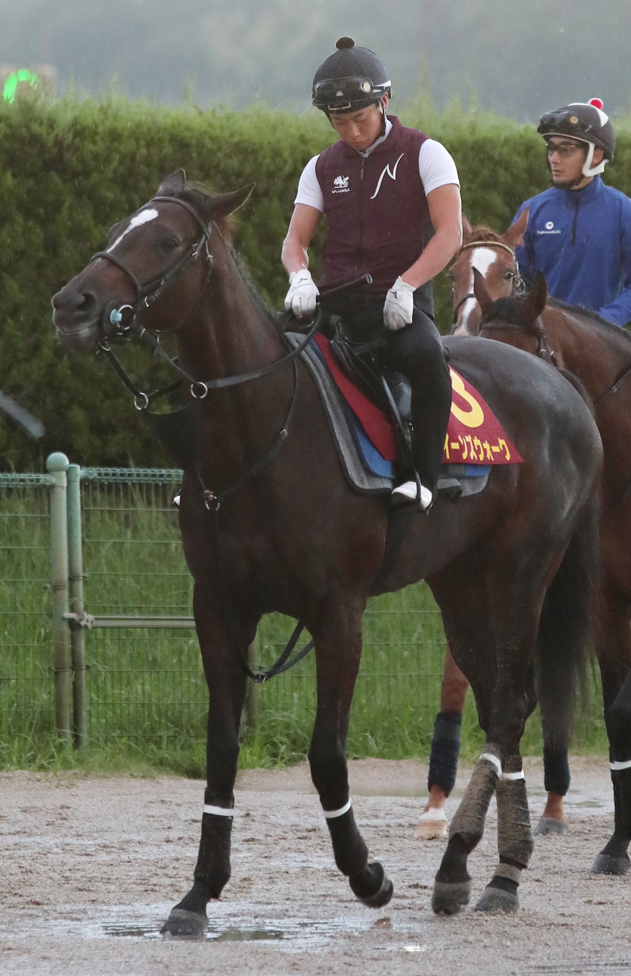 【秋華賞】出走全馬の特選情報