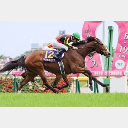 【市川の日曜競馬コラム・秋華賞】｜市川が人気馬を斬る