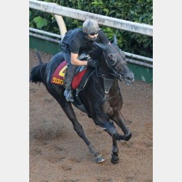 【木津の日曜競馬コラム・秋華賞】｜ホースマン直撃