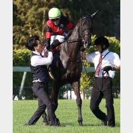 【武田の日曜競馬コラム・秋華賞】｜武田記者 データがベース