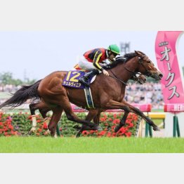 【亀井の日曜競馬コラム・秋華賞】｜亀井記者の血統ロックオン