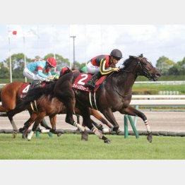 【播磨の日曜競馬コラム・秋華賞】｜播磨政勝 競馬道楽