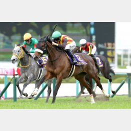 【新谷の日曜競馬コラム・秋華賞】｜新谷式レースレート 数字が走る