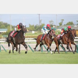 【勝羽の日曜競馬コラム・秋華賞】｜勝羽太郎 情報ノート