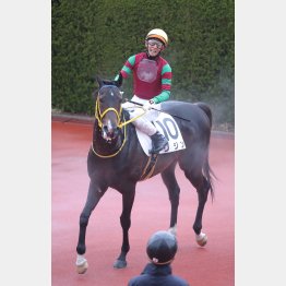 【田中の月曜競馬コラム・菅名岳特別】｜田中翔大 必翔馬券