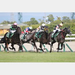 【新谷の月曜競馬コラム・府中牝馬Ｓ】｜新谷式レースレート 数字が走る