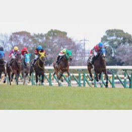 【市川の月曜競馬コラム・府中牝馬S】｜市川が人気馬を斬る