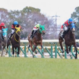 【市川の月曜競馬コラム・府中牝馬S】