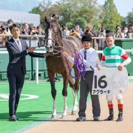 【飯島の月曜競馬コラム・東京６Ｒ】