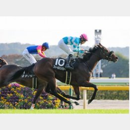 【木津の月曜競馬コラム・府中牝馬Ｓ】｜ホースマン直撃