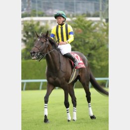 【武田の月曜競馬コラム・府中牝馬Ｓ】｜武田記者 データがベース