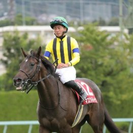 【武田の月曜競馬コラム・府中牝馬Ｓ】