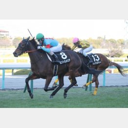 【橘の月曜競馬コラム・府中牝馬Ｓ】｜鬼才・橘 万券アタック