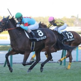 【橘の月曜競馬コラム・府中牝馬Ｓ】