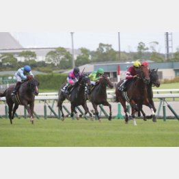 前走は②着に２馬身差の快勝