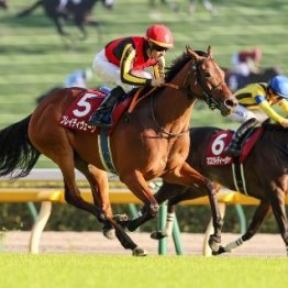 【府中牝馬Ｓ】11カ月ぶりも関係なし　ＧⅠ馬ブレイディヴェーグが貫禄Ｖ