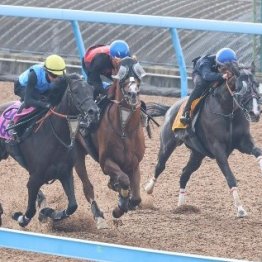 【菊花賞】調教マル得チェック②