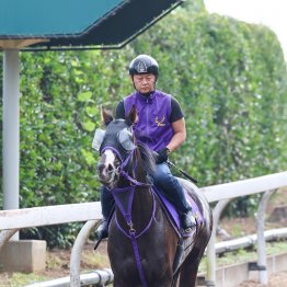 【菊花賞】前走で古馬３勝クラスを一蹴 シュバルツクーゲル大仕事だ