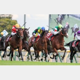 【市川の土曜競馬コラム・富士Ｓ】｜市川が人気馬を斬る