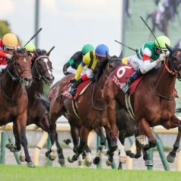 【市川の土曜競馬コラム・富士Ｓ】