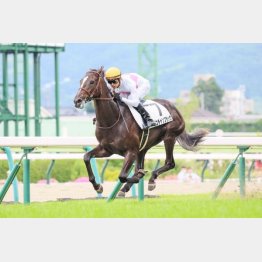 ７月福島で新馬勝ち