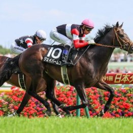 【武田の土曜競馬コラム・富士Ｓ】