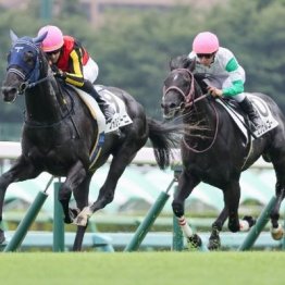 【東京本紙・外山の土曜東京12Ｒ】