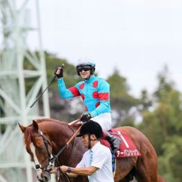 【飯島の日曜競馬コラム・菊花賞】