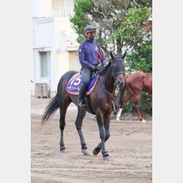 一息入れて、馬体の雰囲気は最高潮