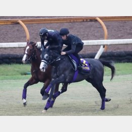 ルメールが警戒するのはこの馬