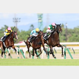 昨年の勝ち馬と同じ日本海Ｓ勝ち