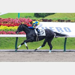 飯島推しのロジは好タイムで１勝クラス突破