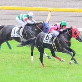 【東京本紙・外山の日曜東京９Ｒ】