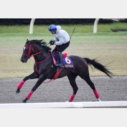 岩田康がずっとまたがっている