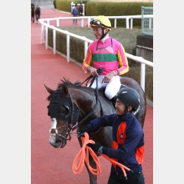 【レスキュー隊の日曜競馬コラム・京都12Ｒ】｜最終レスキュー 最後にアナタを助…