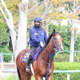 【天皇賞・秋】皐月賞馬が復活の気配 ソールオリエンス再び飛んでくる