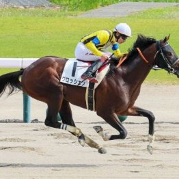 【新居の土曜競馬コラム・伊勢佐木特別】