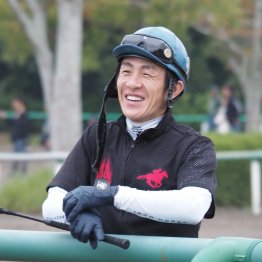 【木津の土曜競馬コラム・柏崎特別】