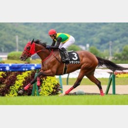 猪苗代特別は４馬身差の完勝