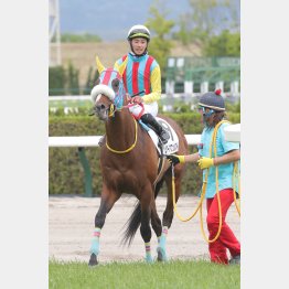 前走圧勝の舞台で３連勝を狙う