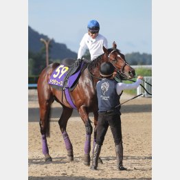 【田中の日曜競馬コラム・天皇賞】｜田中翔大 必翔馬券