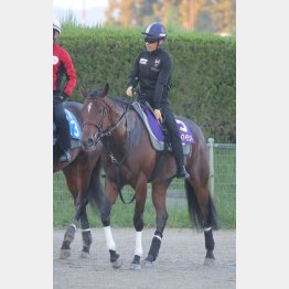 ７カ月ぶりだが馬体は明らかにスケールアップ