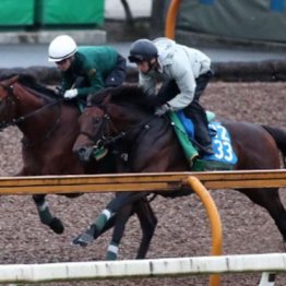 【マリナの日曜競馬コラム・天皇賞】