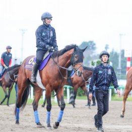 【木津の日曜競馬コラム・天皇賞】