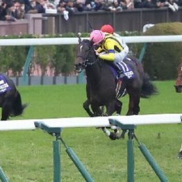 【武田の日曜競馬コラム・天皇賞】