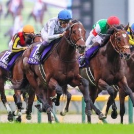 【天皇賞・秋】復調見せたもう一頭のダービー馬タスティエーラ