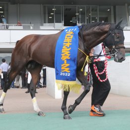 【みやこＳ】ゲンパチルシファー一発の魅力