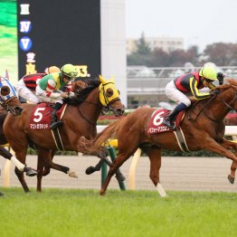 【アルゼンチン共和国杯】データ作戦　〝あと１頭〟の伏兵を探せ