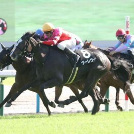 【マリナの土曜競馬コラム・ファンタジーＳ】